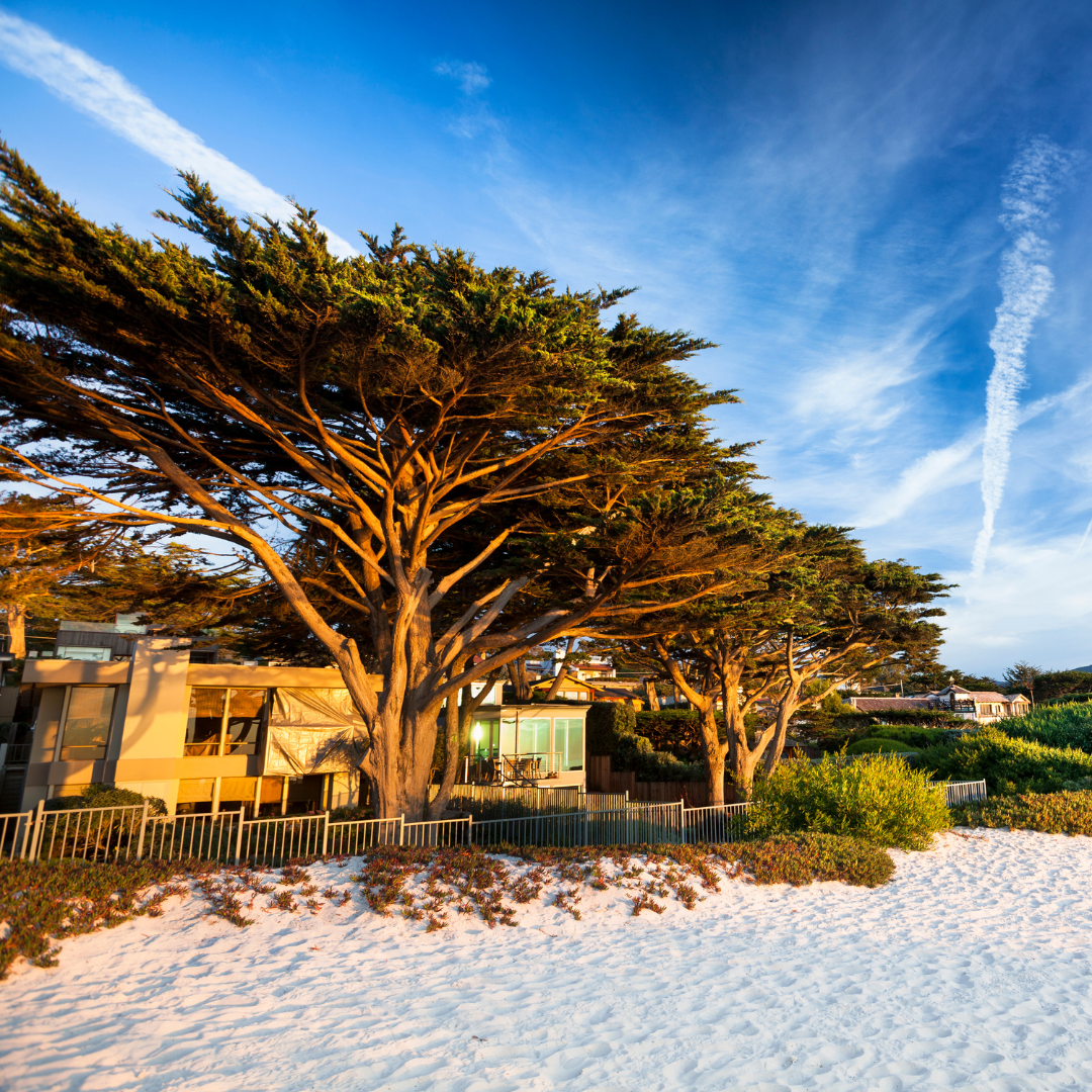 The 10 Most Beautiful Places to Visit in Big Sur - Be Blissful Travel