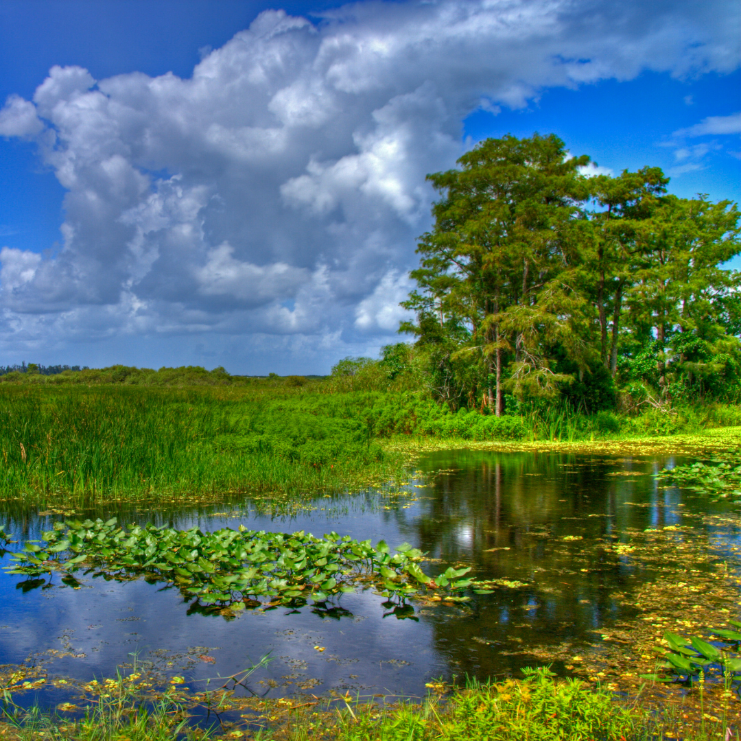 The Top 7 Things To Do in Florida for Nature Lovers in 2023
